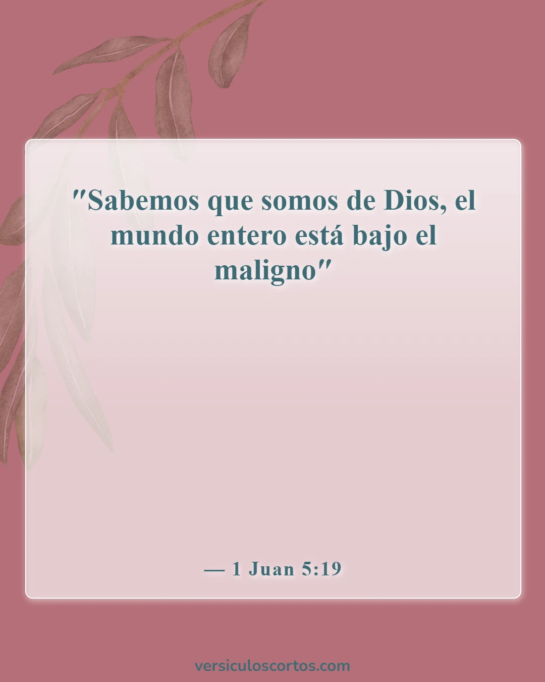 Versículos de la Biblia sobre salir con un no creyente (1 Juan 5:19)