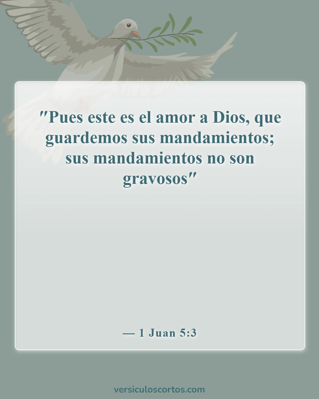 Versículos bíblicos sobre amar al Señor (1 Juan 5:3)