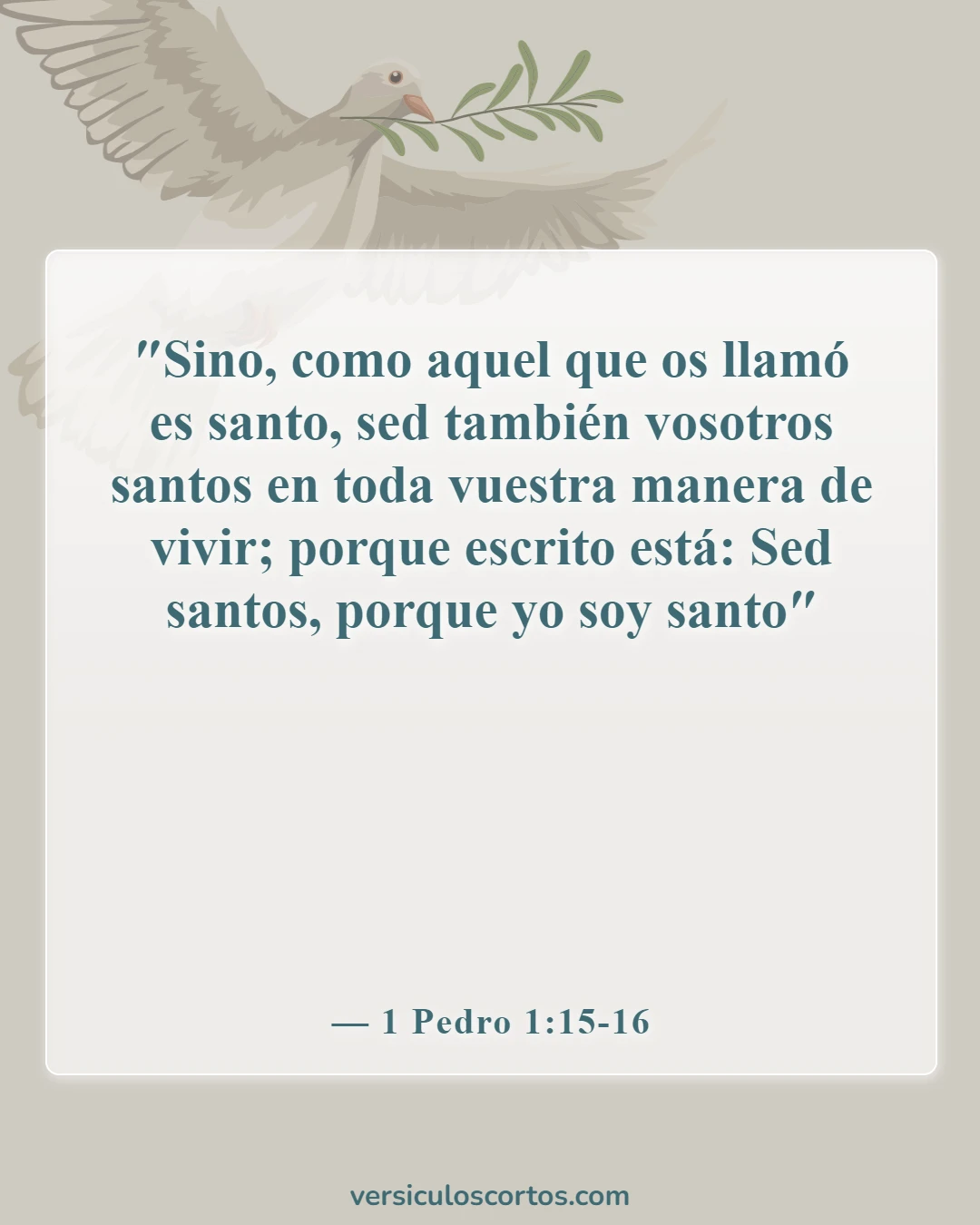 Versículos de la Biblia sobre el desarrollo del carácter cristiano (1 Pedro 1:15-16)