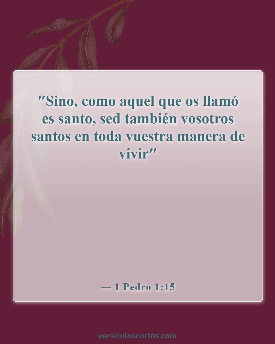 Versículos bíblicos sobre el cristiano carnal (1 Pedro 1:15)