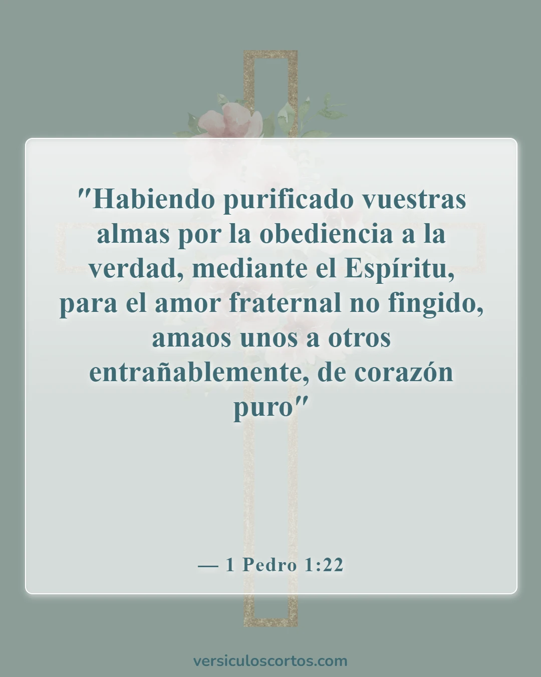 Versículos bíblicos sobre amar al Señor (1 Pedro 1:22)
