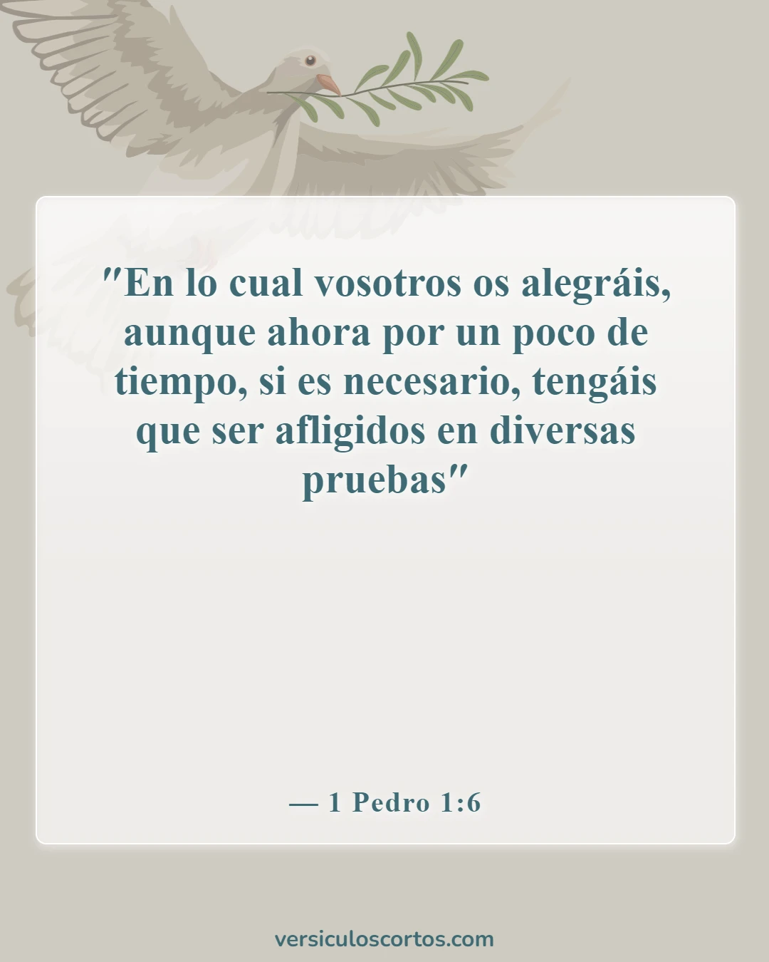 Versículos de la Biblia sobre las dificultades (1 Pedro 1:6)