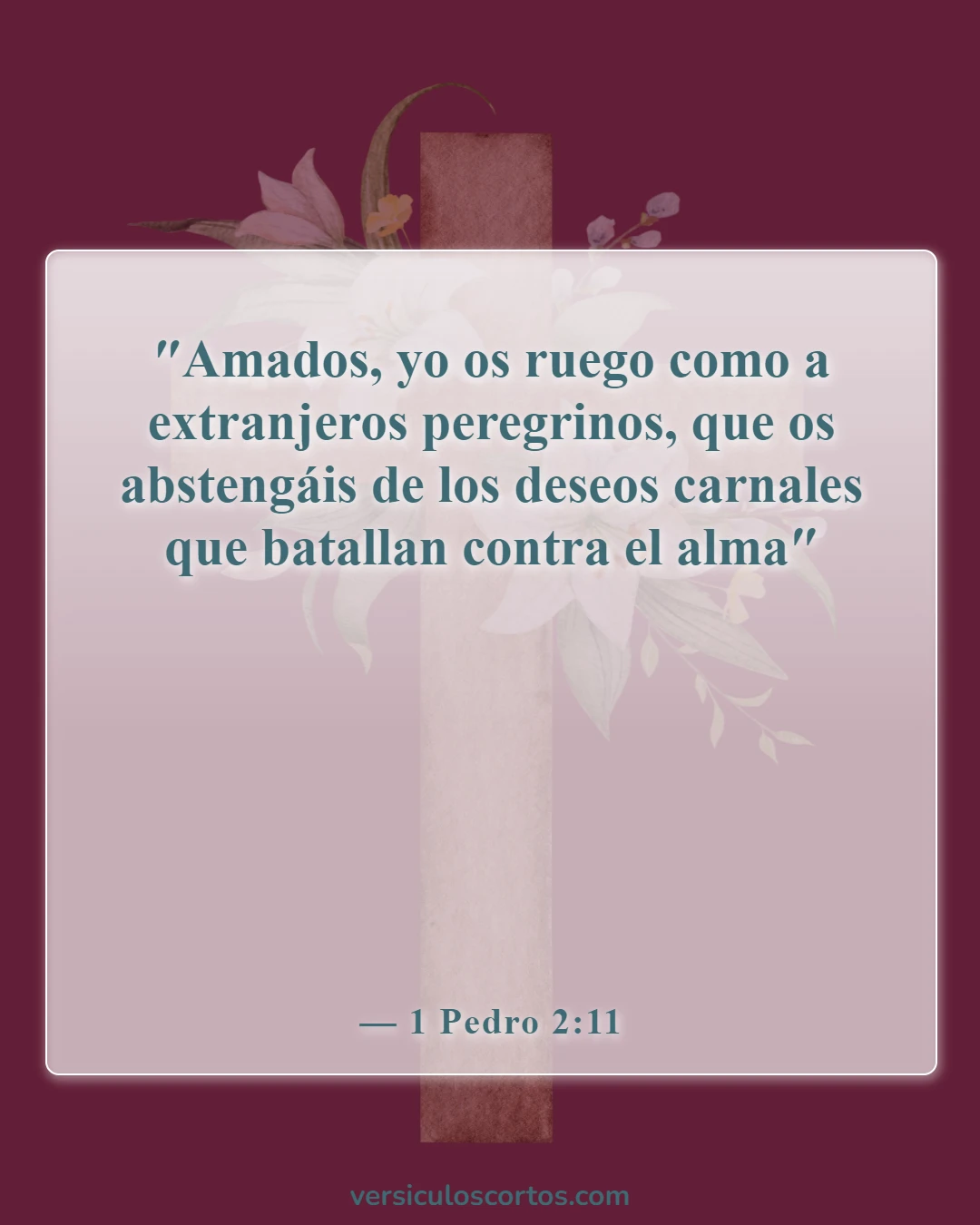 Versículos de la Biblia sobre salir con un no creyente (1 Pedro 2:11)