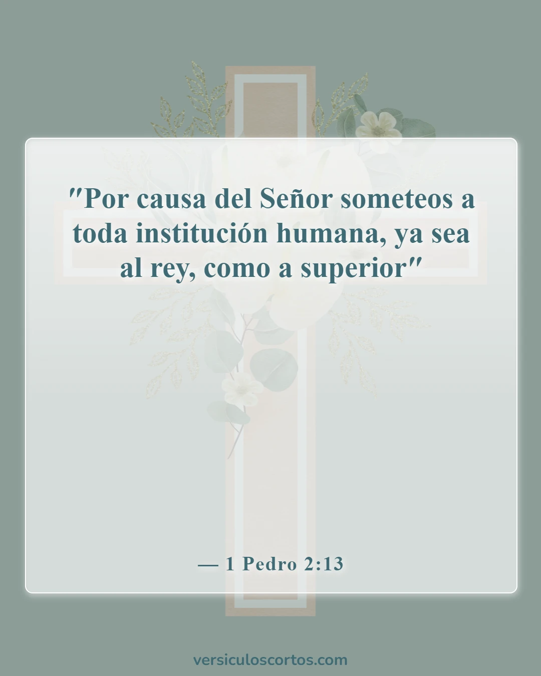 Versículos bíblicos sobre la sumisión a la autoridad (1 Pedro 2:13)