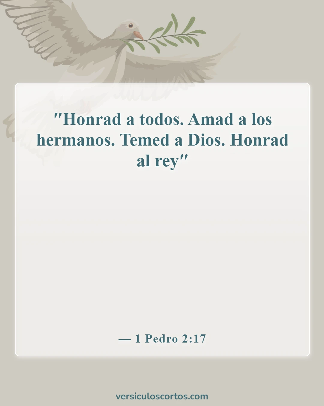 Versículos de la Biblia sobre perdonar a tus enemigos (1 Pedro 2:17)