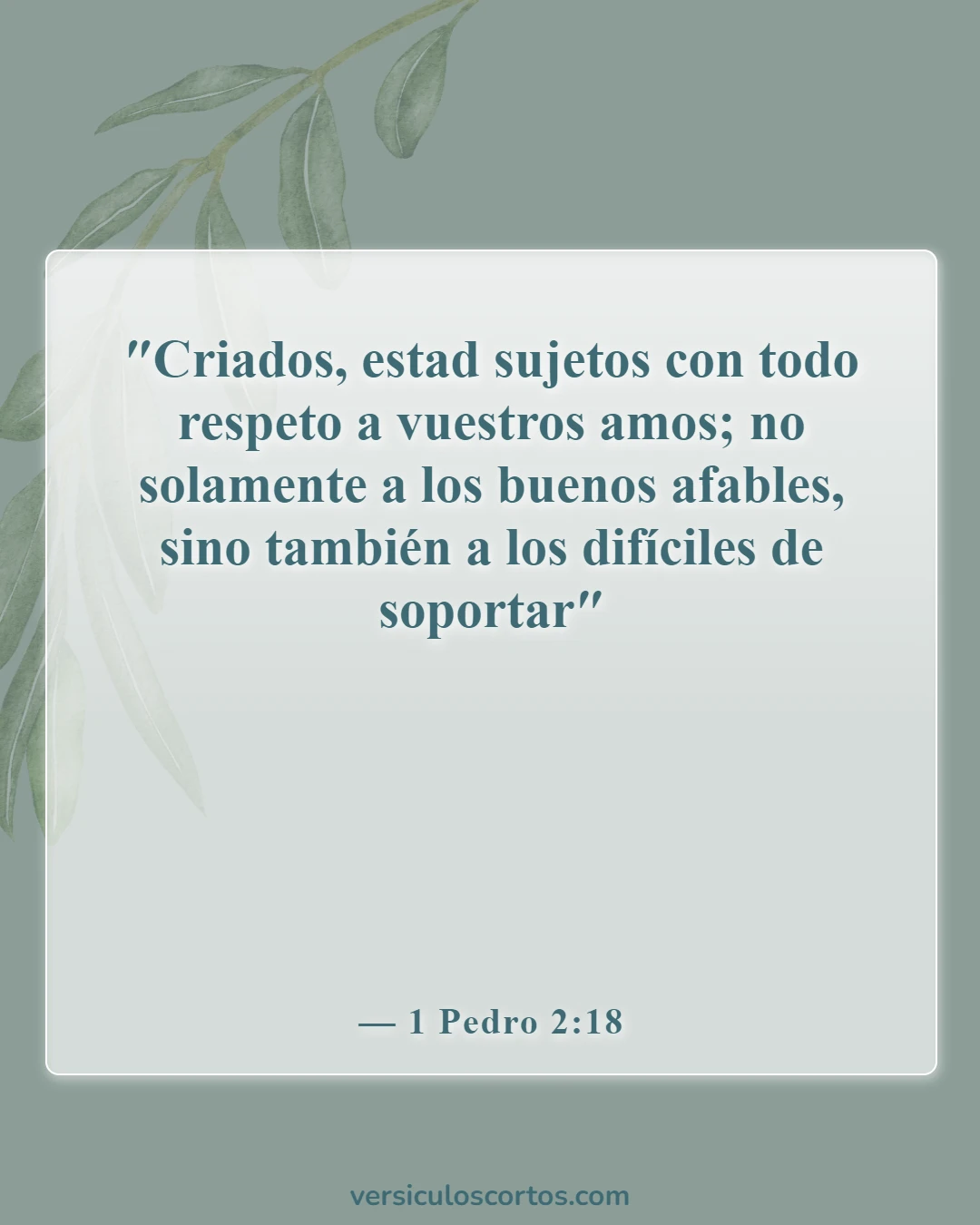 Versículos bíblicos sobre la sumisión a la autoridad (1 Pedro 2:18)