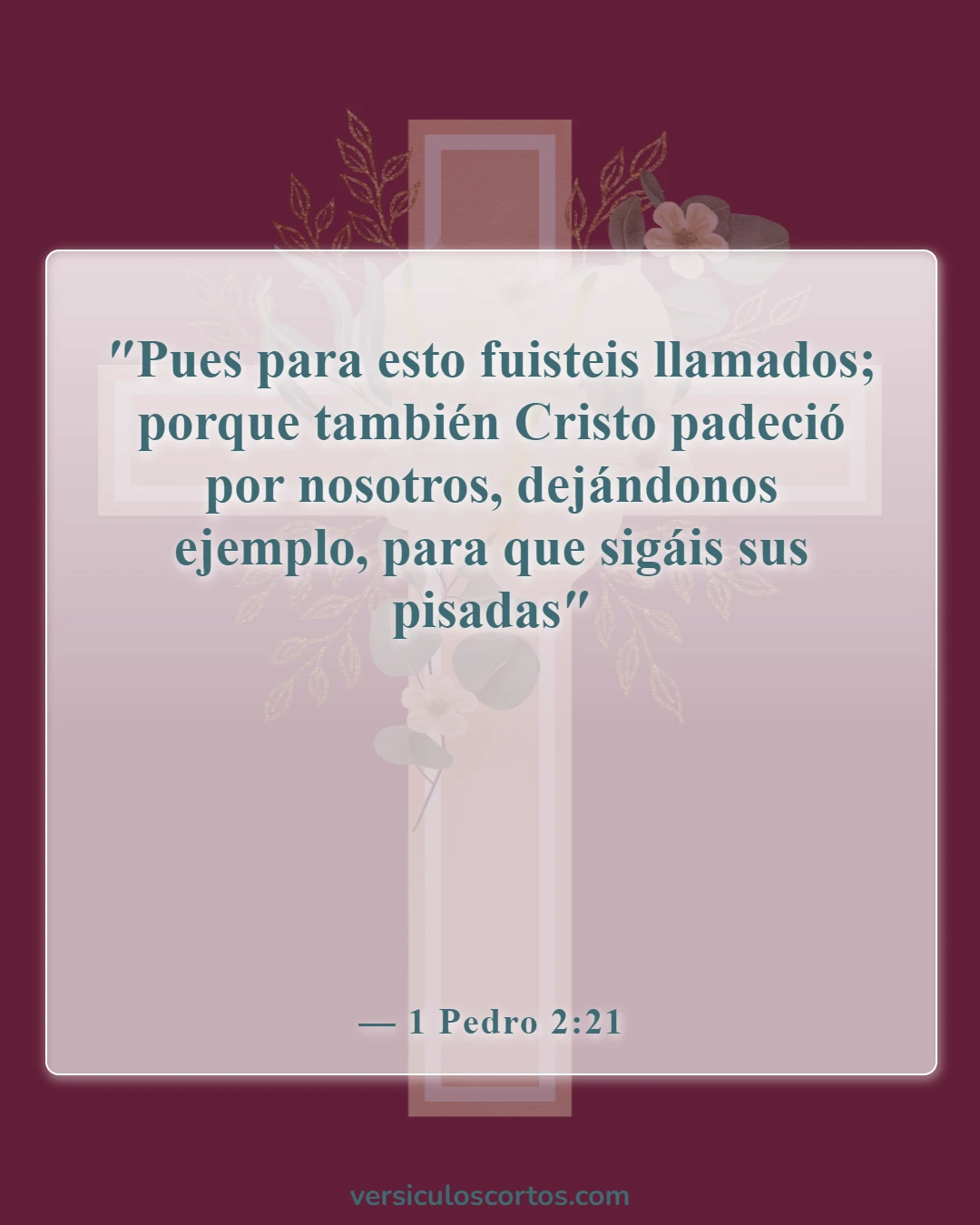Versículos de la Biblia sobre perdonar a tus enemigos (1 Pedro 2:21)