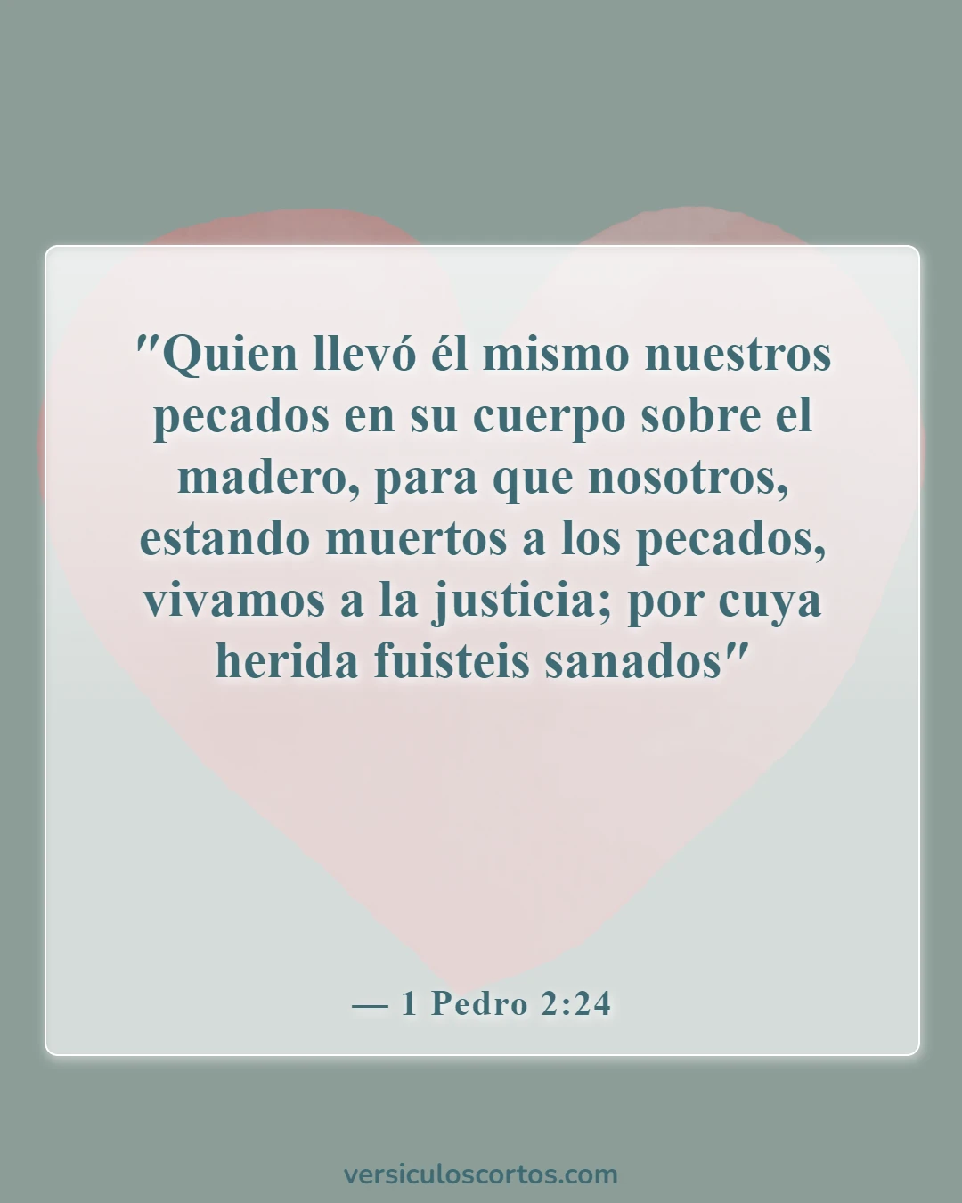 Versículos bíblicos sobre la salvación (1 Pedro 2:24)