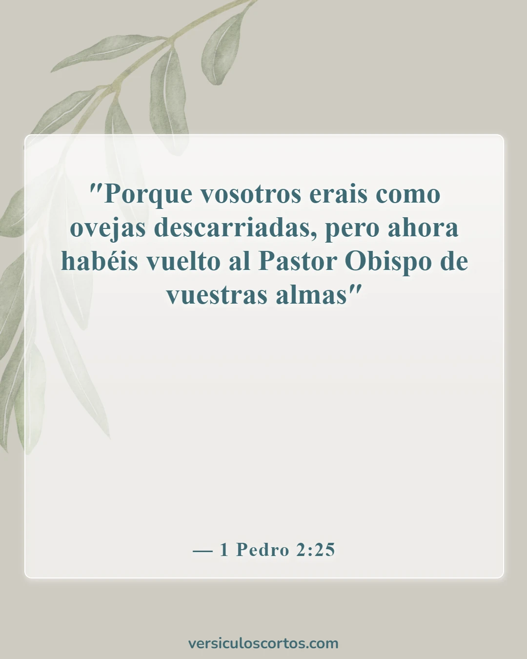 Versículos de la Biblia sobre el pastor (1 Pedro 2:25)