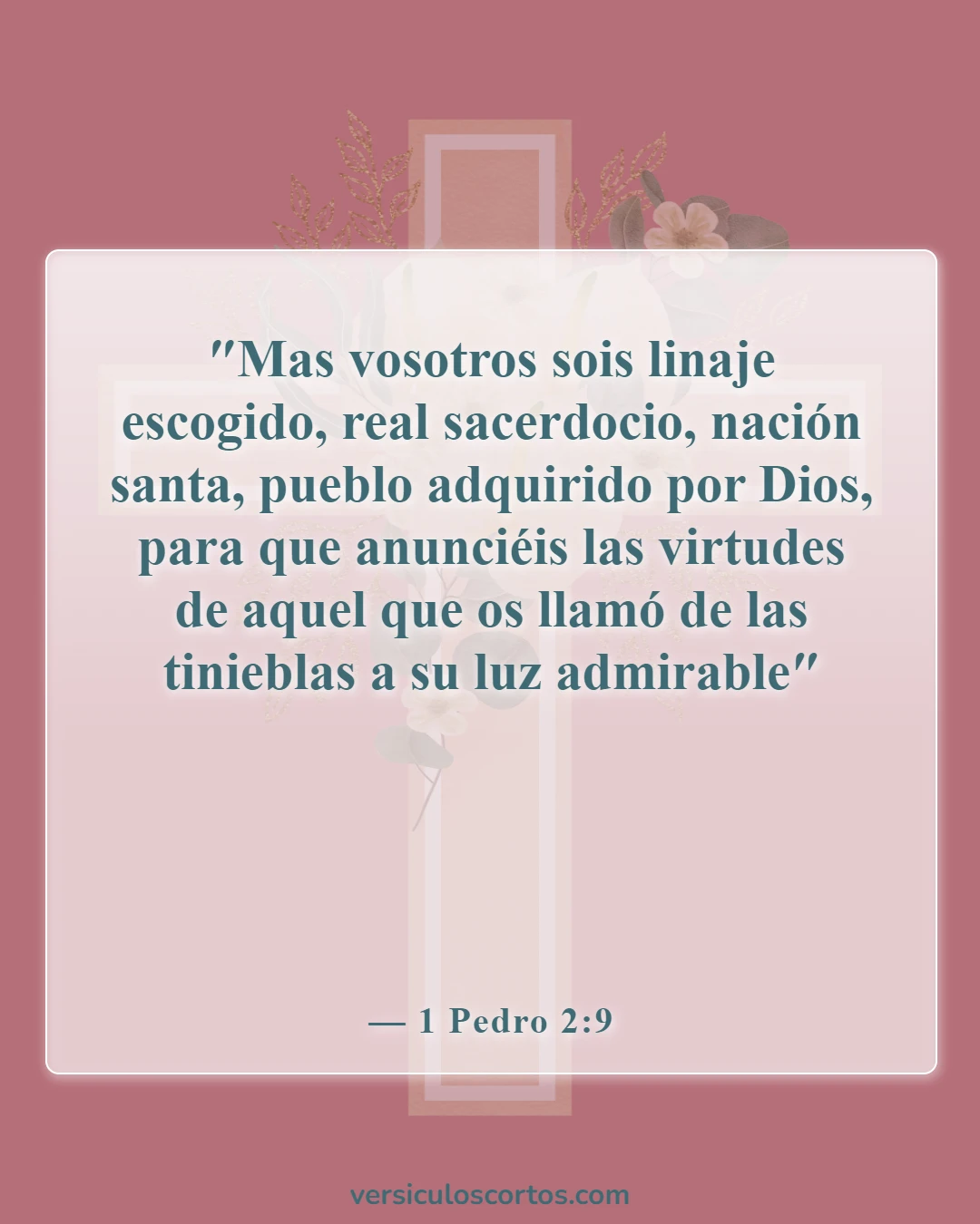 Versículos de la Biblia sobre el verdadero cristiano (1 Pedro 2:9)