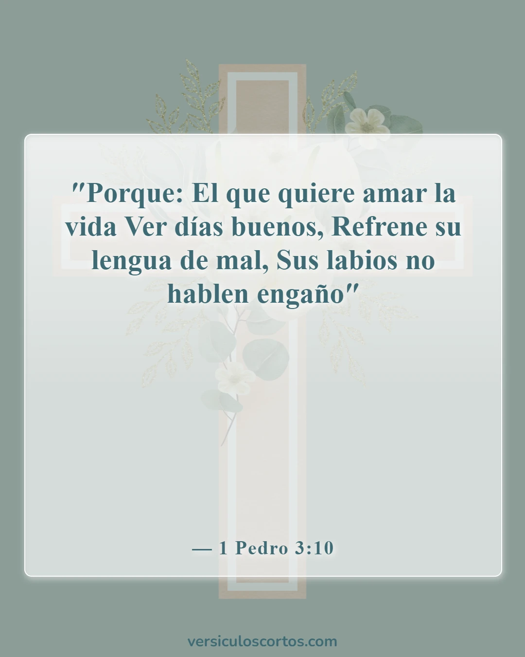 Versículos de la Biblia sobre el poder de las palabras (1 Pedro 3:10)