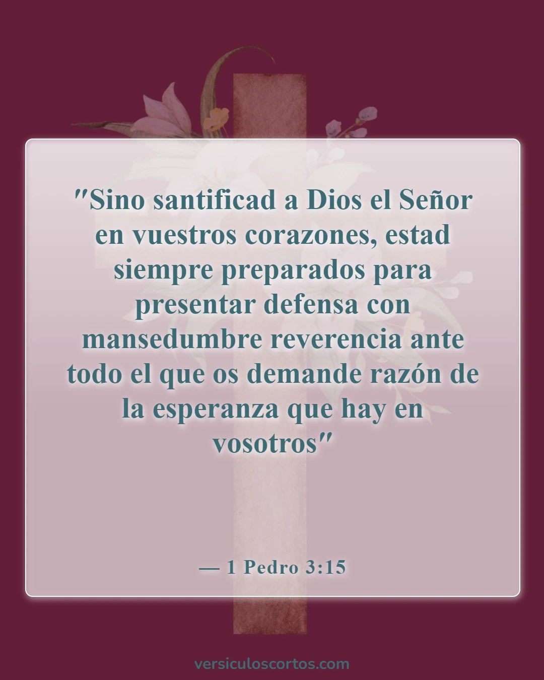 Versículos de la Biblia sobre salir con un no creyente (1 Pedro 3:15)