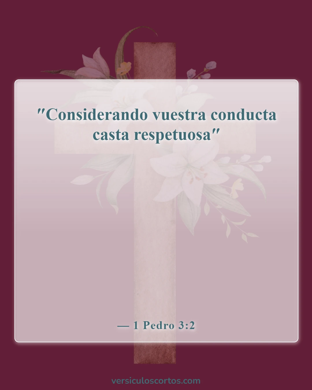 Versículos de la Biblia sobre problemas matrimoniales (1 Pedro 3:2)