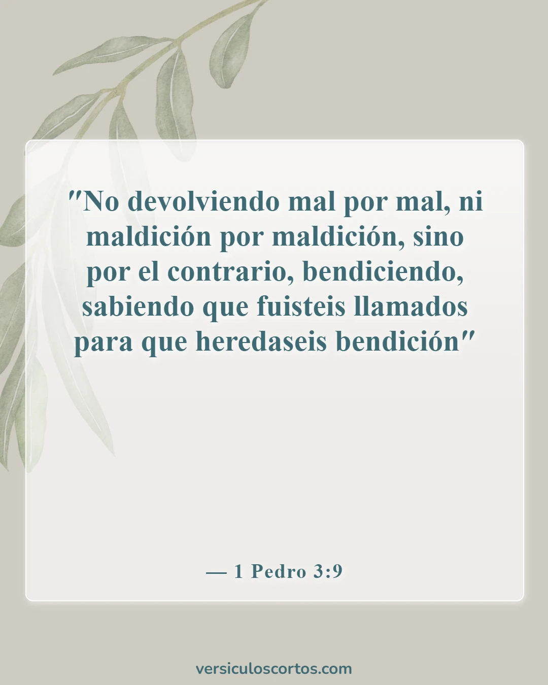 Versículos de la Biblia sobre perdonar a tus enemigos (1 Pedro 3:9)
