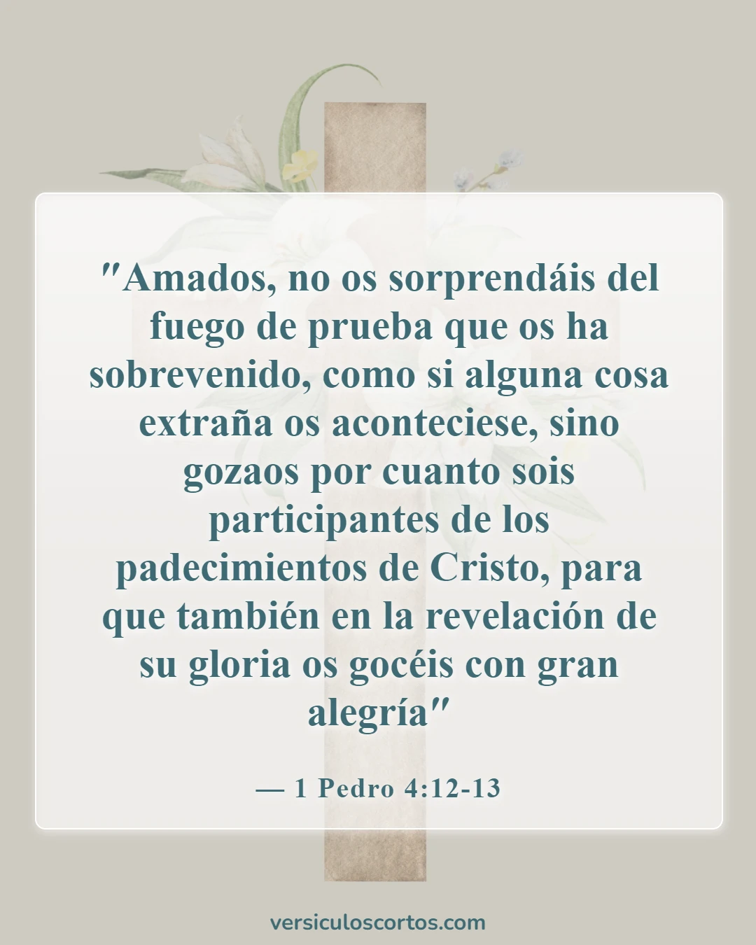 Versículos de la Biblia sobre el dolor y el sufrimiento (1 Pedro 4:12-13)