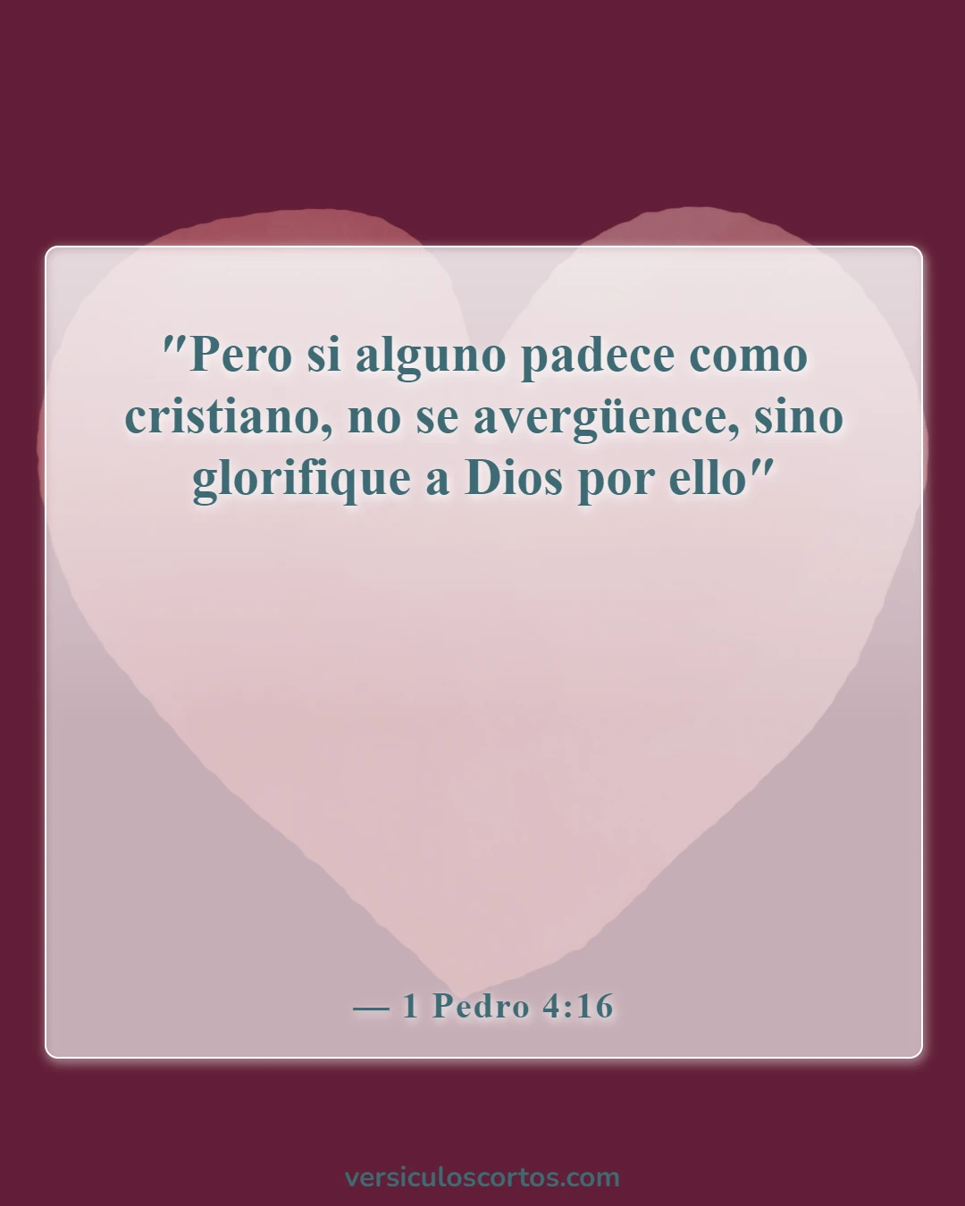 Versículos de la Biblia sobre someterse a tu esposo (1 Pedro 4:16)
