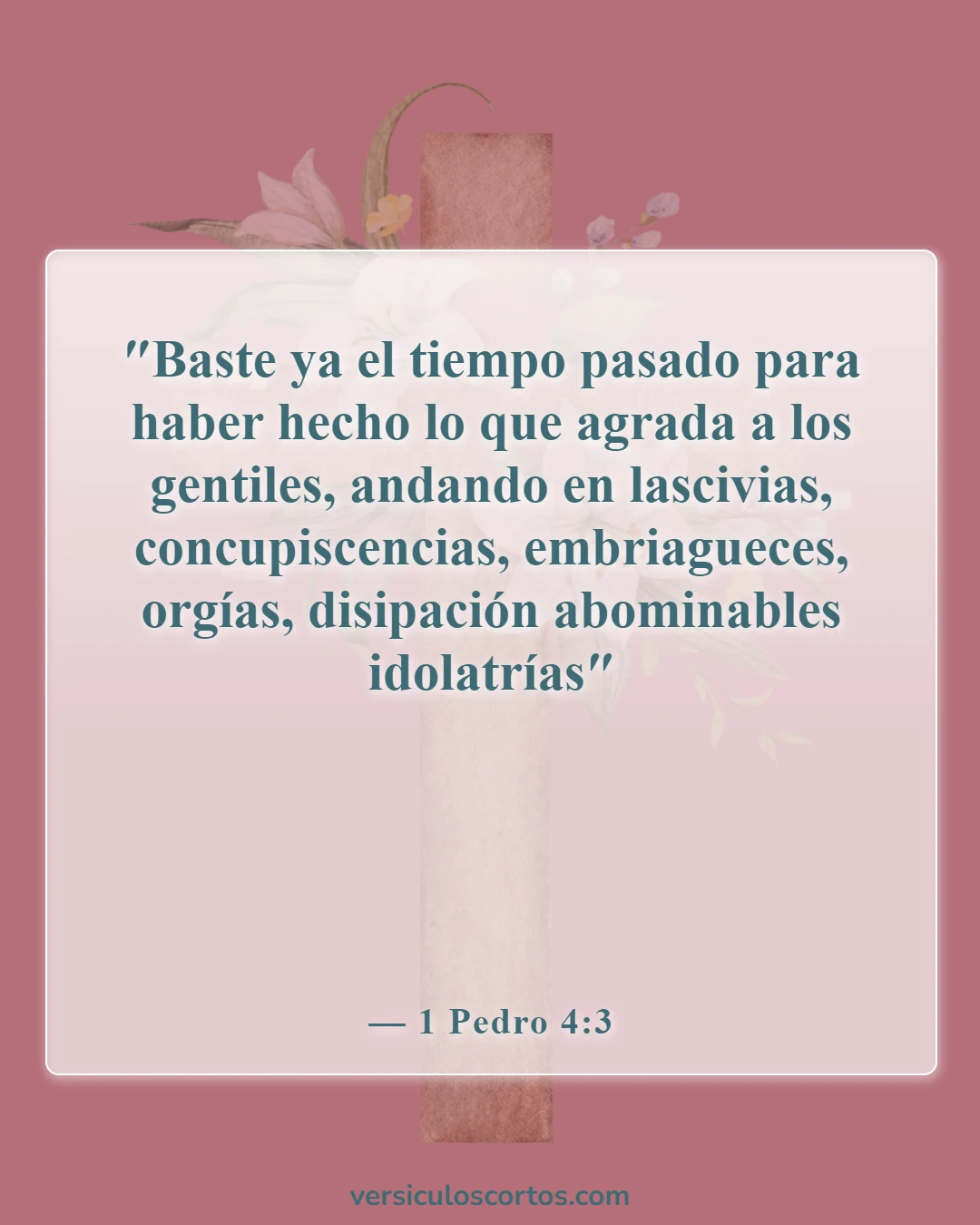 Versículos de la Biblia sobre el consumo de alcohol (1 Pedro 4:3)