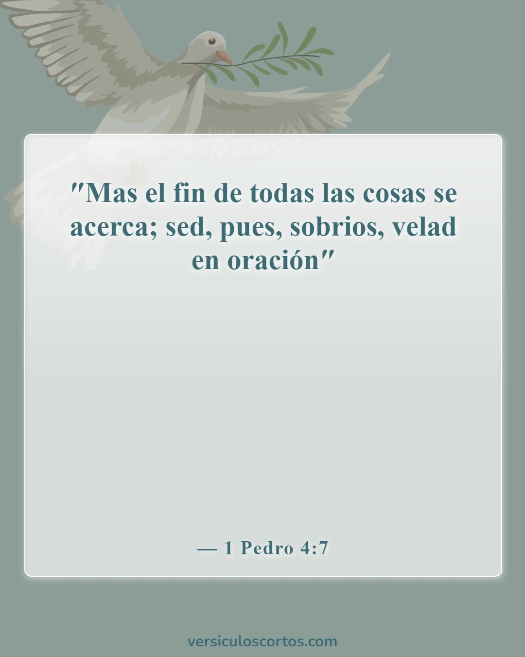 Versículos bíblicos sobre el fin del mundo (1 Pedro 4:7)