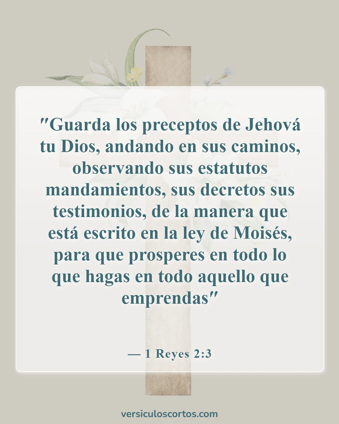 Versículos bíblicos sobre la obediencia a Dios (1 Reyes 2:3)