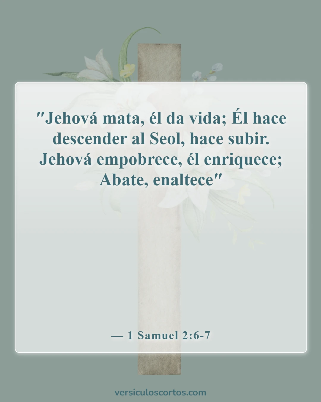Versículos de la Biblia sobre que Dios tiene el control (1 Samuel 2:6-7)