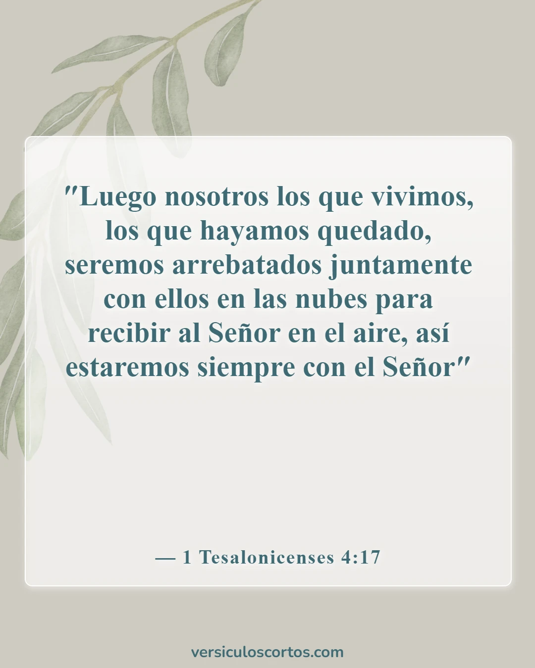 Versículos de la Biblia sobre la muerte de un amigo (1 Tesalonicenses 4:17)
