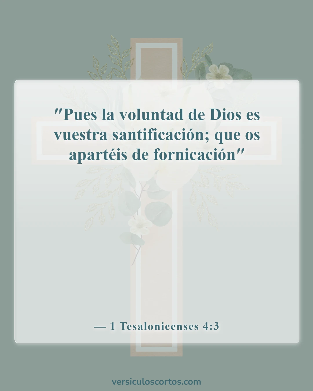 Versículos de la Biblia sobre salir con un no creyente (1 Tesalonicenses 4:3)