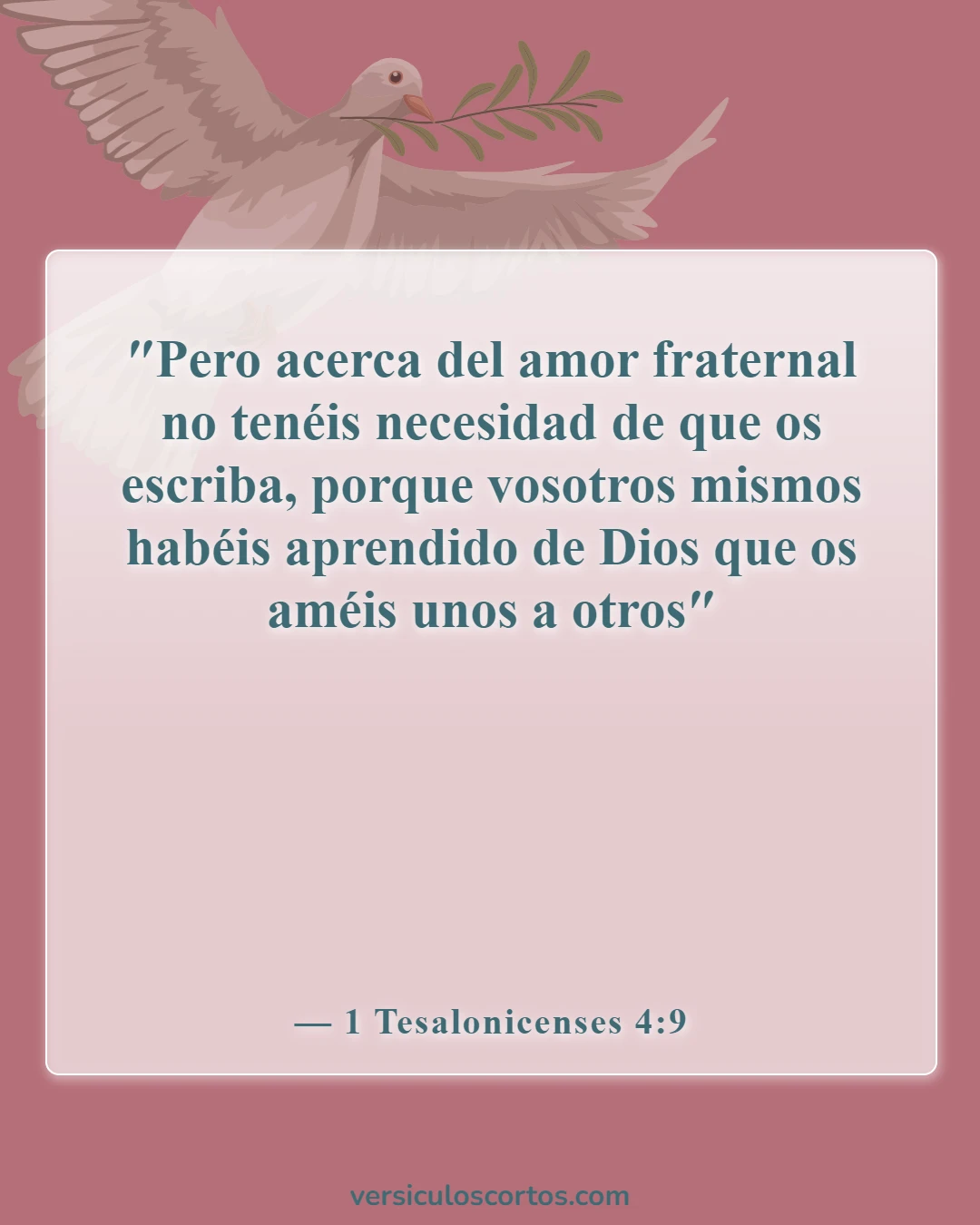 Versículos de la Biblia sobre el amor y las relaciones (1 Tesalonicenses 4:9)