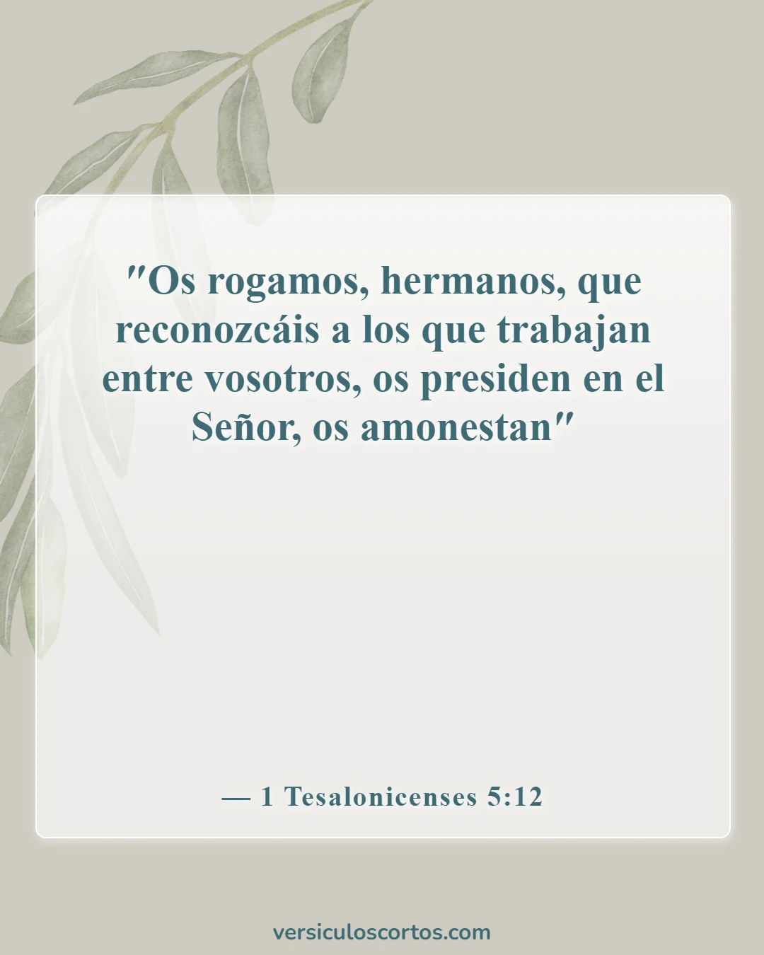 Versículos de la Biblia sobre respetar a tus mayores (1 Tesalonicenses 5:12)