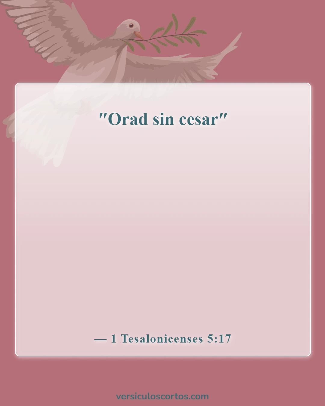 Versículos bíblicos sobre el poder de la oración (1 Tesalonicenses 5:17)