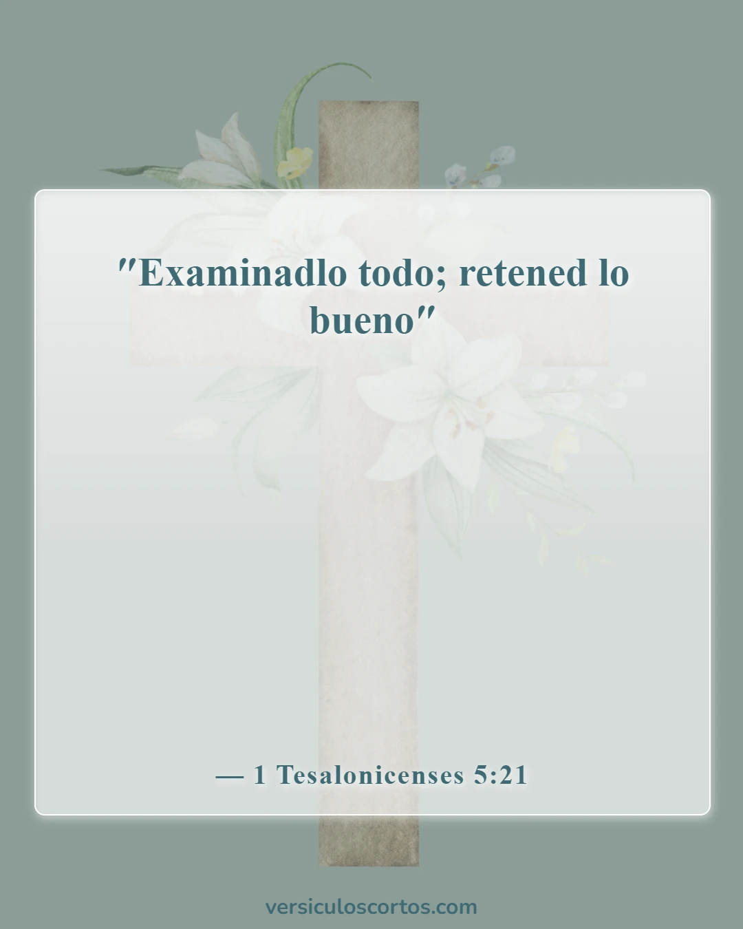 Versículos de la Biblia sobre el poder de la mente (1 Tesalonicenses 5:21)
