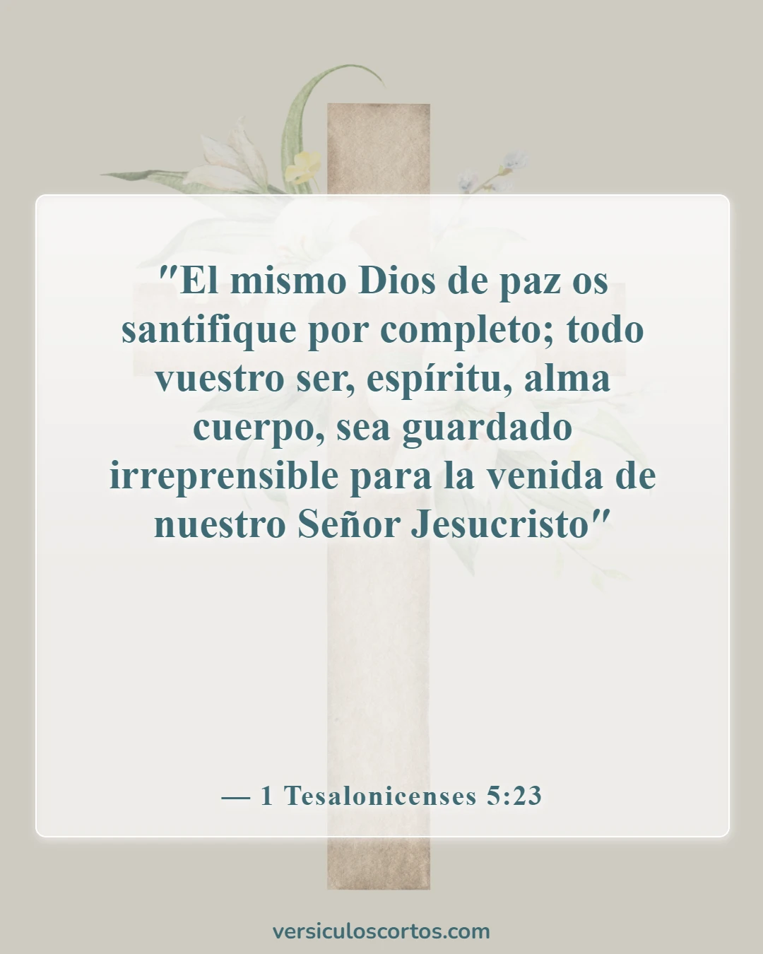 Versículos bíblicos sobre el cristiano carnal (1 Tesalonicenses 5:23)