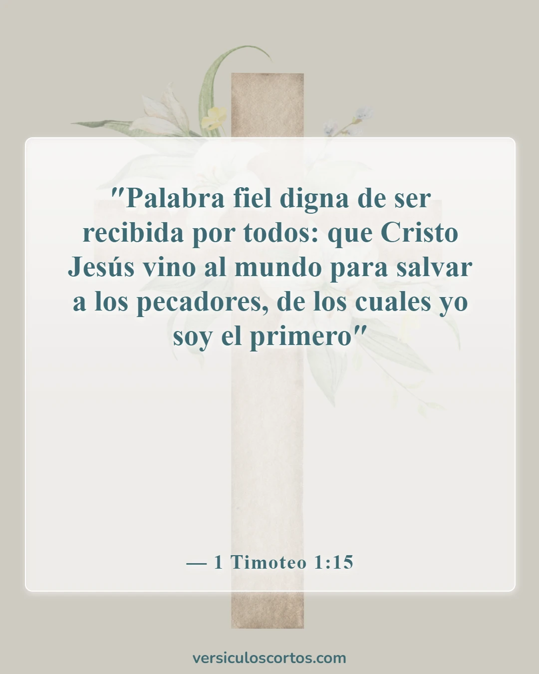 Versículos de la Biblia sobre el perdón de los pecados (1 Timoteo 1:15)