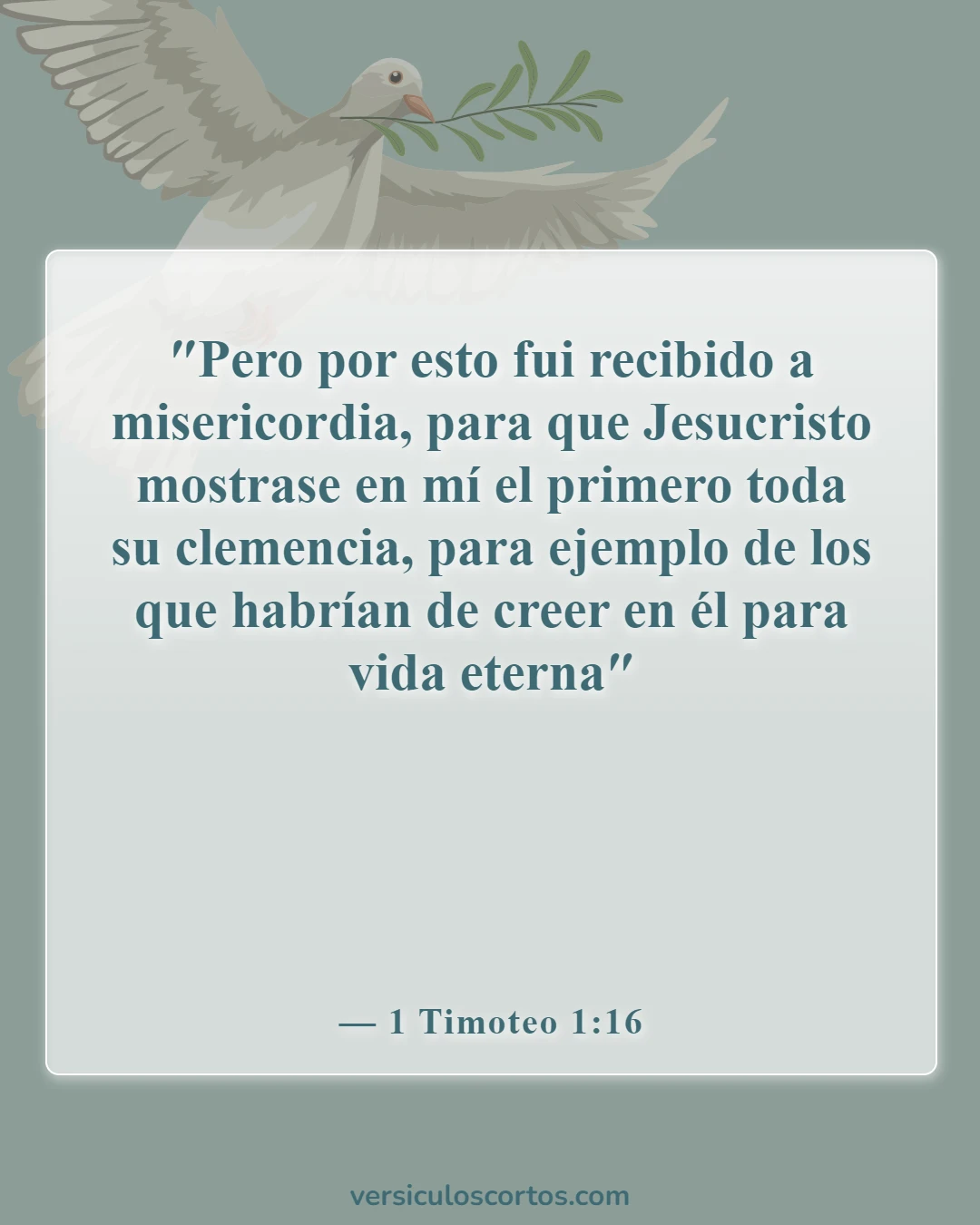 Versículos de la Biblia sobre la misericordia (1 Timoteo 1:16)