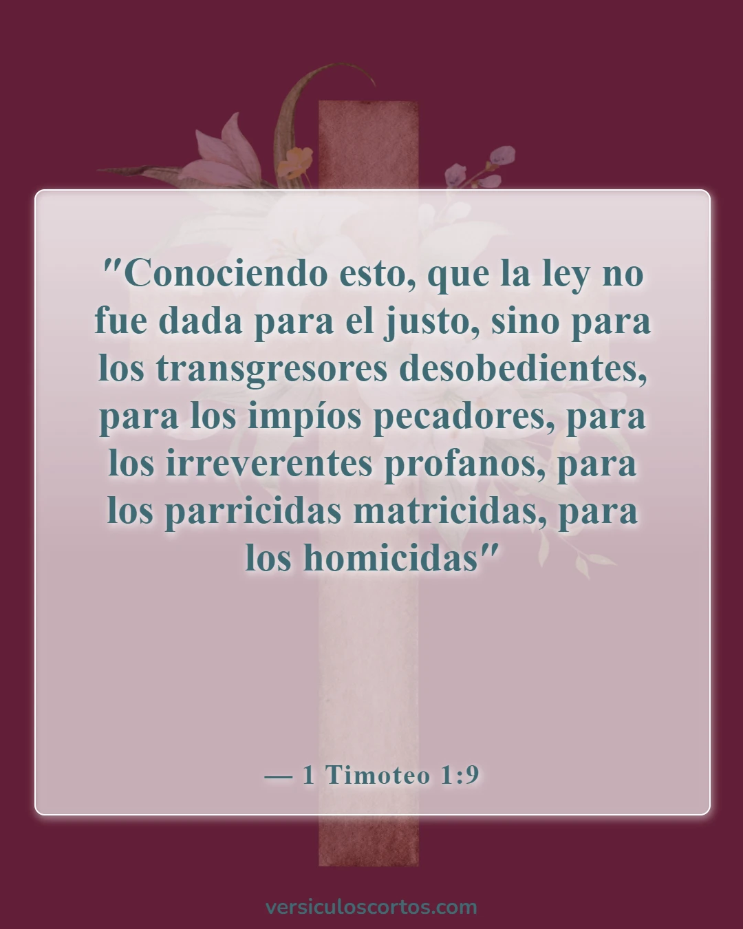 Versículos de la Biblia sobre el asesinato (1 Timoteo 1:9)