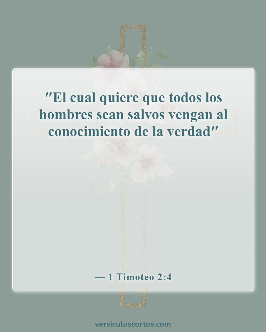Versículos bíblicos sobre venir a Jesús (1 Timoteo 2:4)