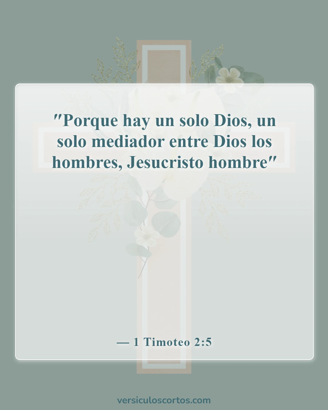 Versículos bíblicos sobre la salvación (1 Timoteo 2:5)