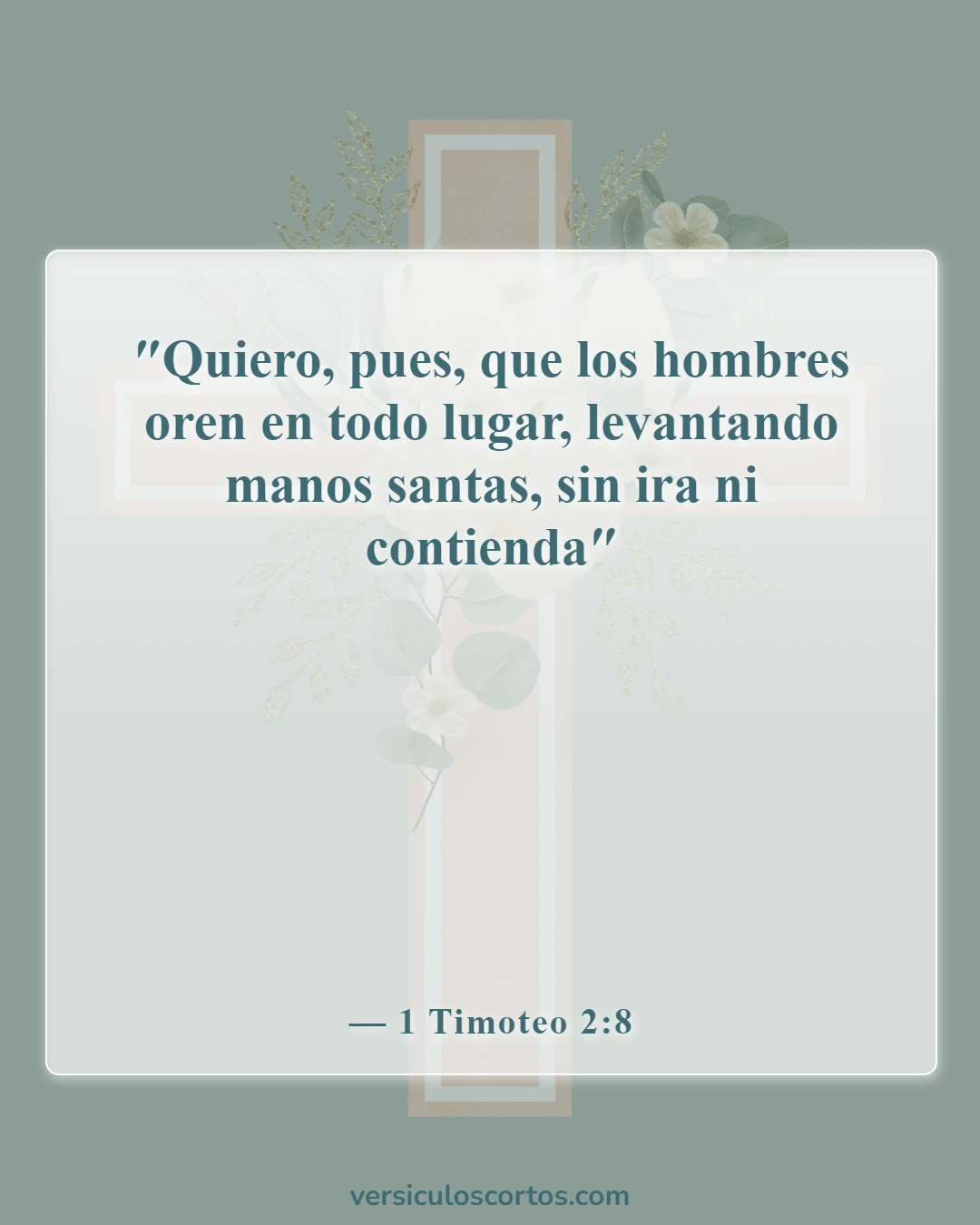 Versículos bíblicos sobre albergar ira (1 Timoteo 2:8)