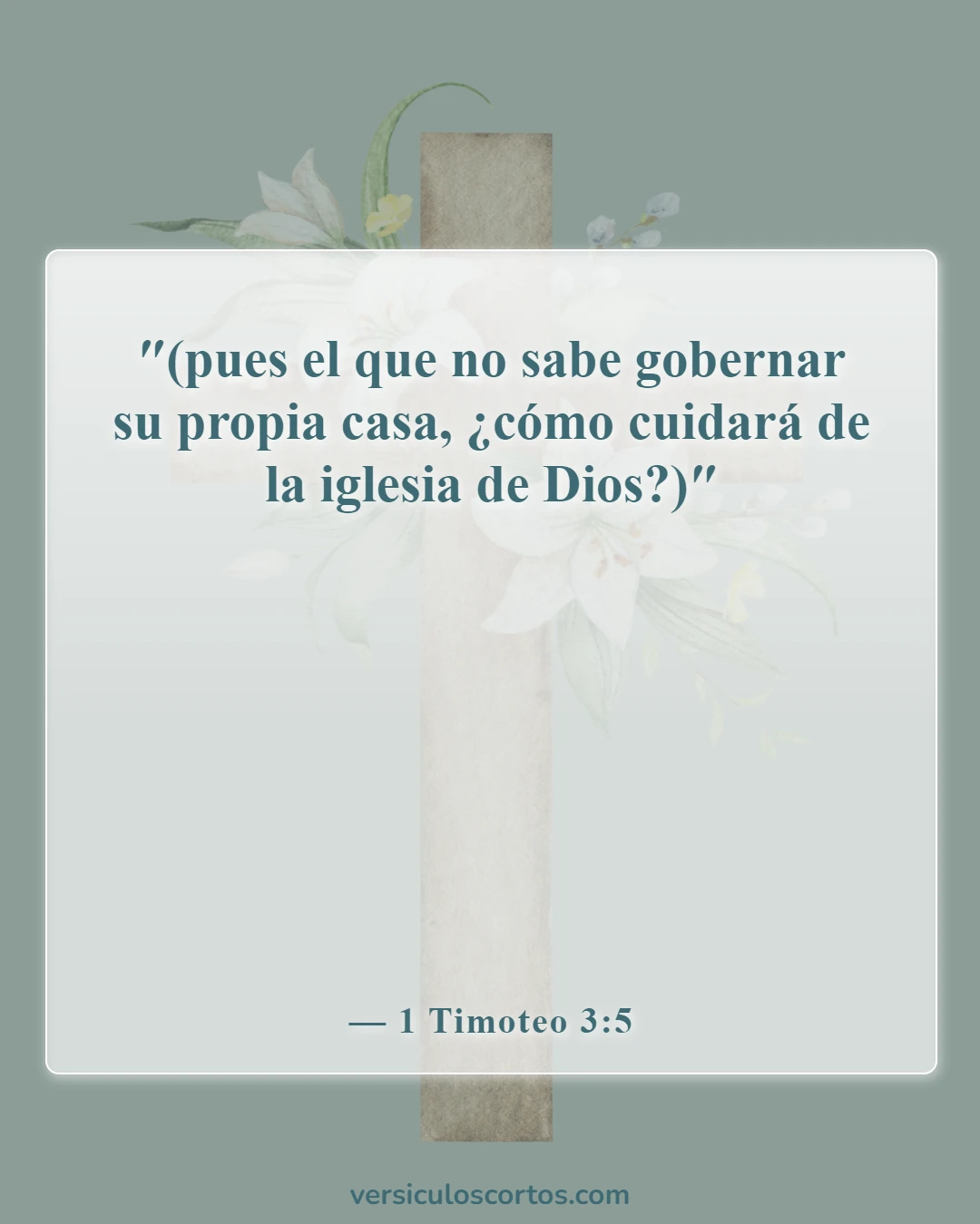 Versículos de la Biblia sobre las calificaciones de los ancianos (1 Timoteo 3:5)