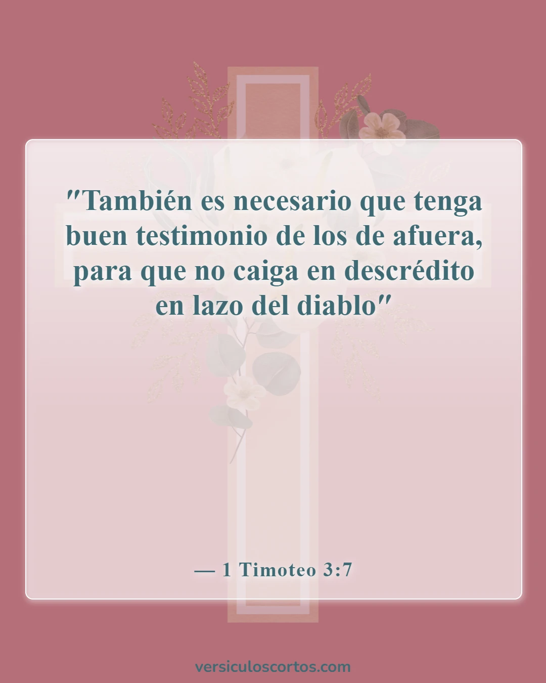 Versículos de la Biblia sobre las calificaciones de los ancianos (1 Timoteo 3:7)