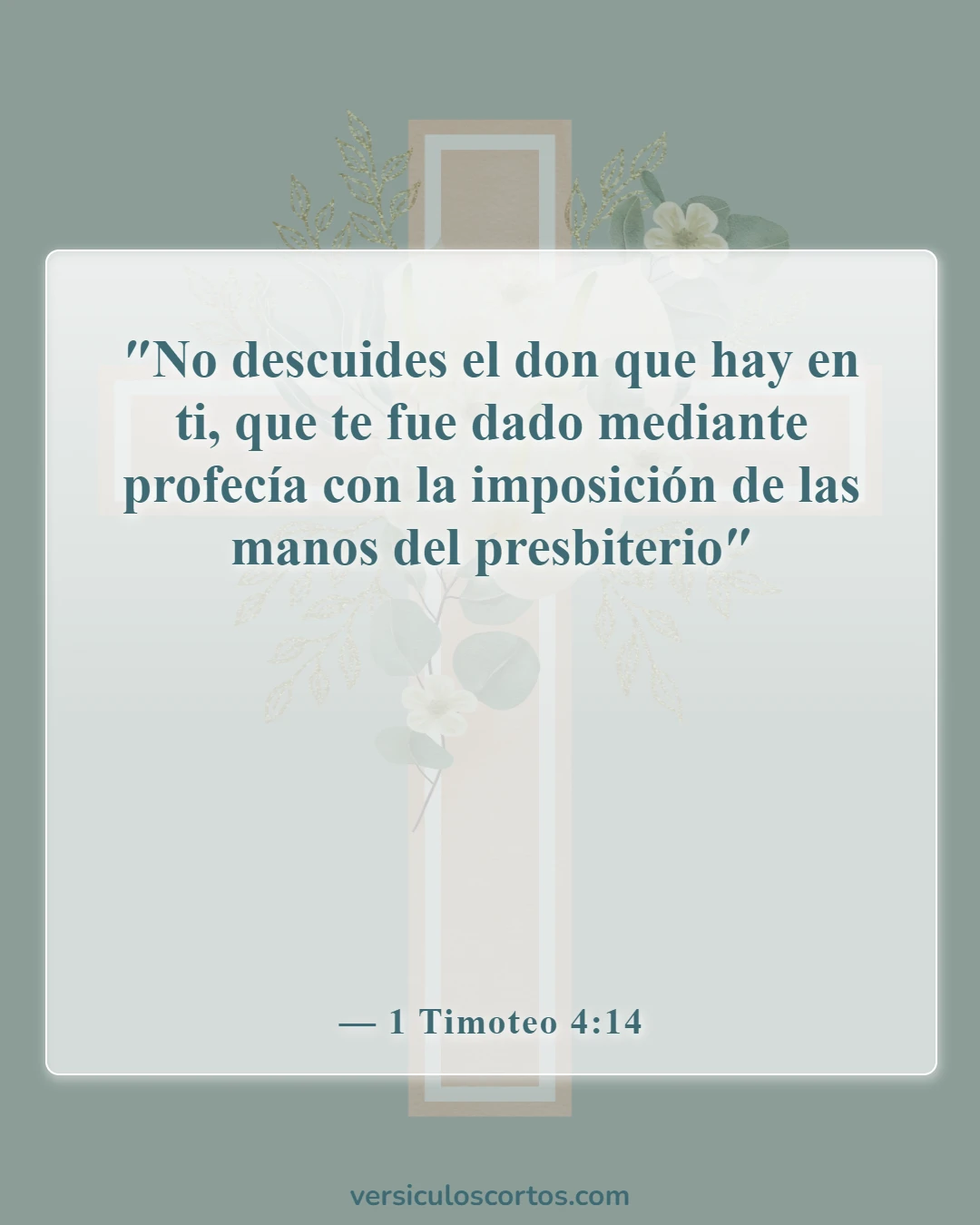 Versículos de la Biblia sobre los dones del Espíritu Santo (1 Timoteo 4:14)
