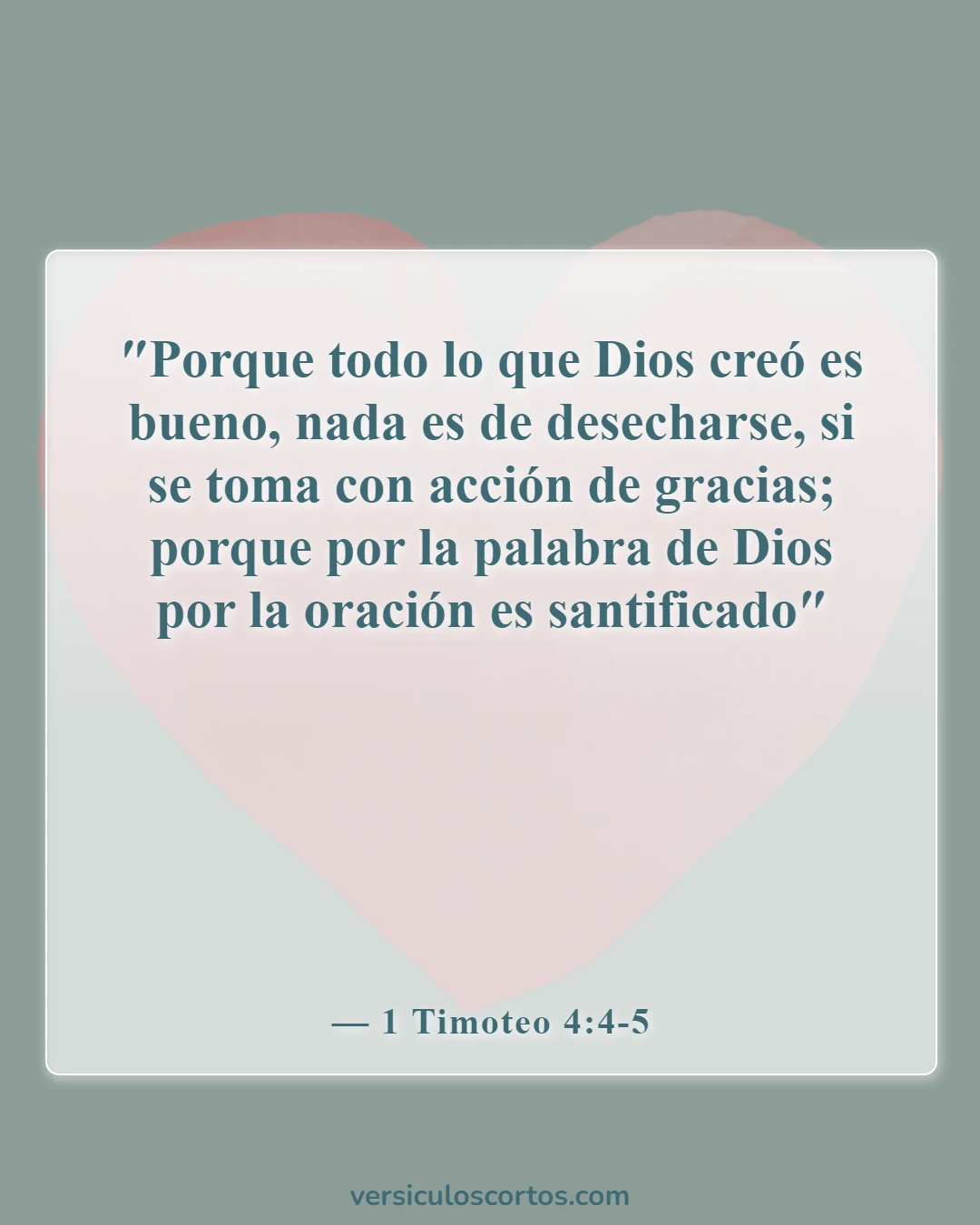 Versículos de la Biblia sobre disfrutar de la vida (1 Timoteo 4:4-5)
