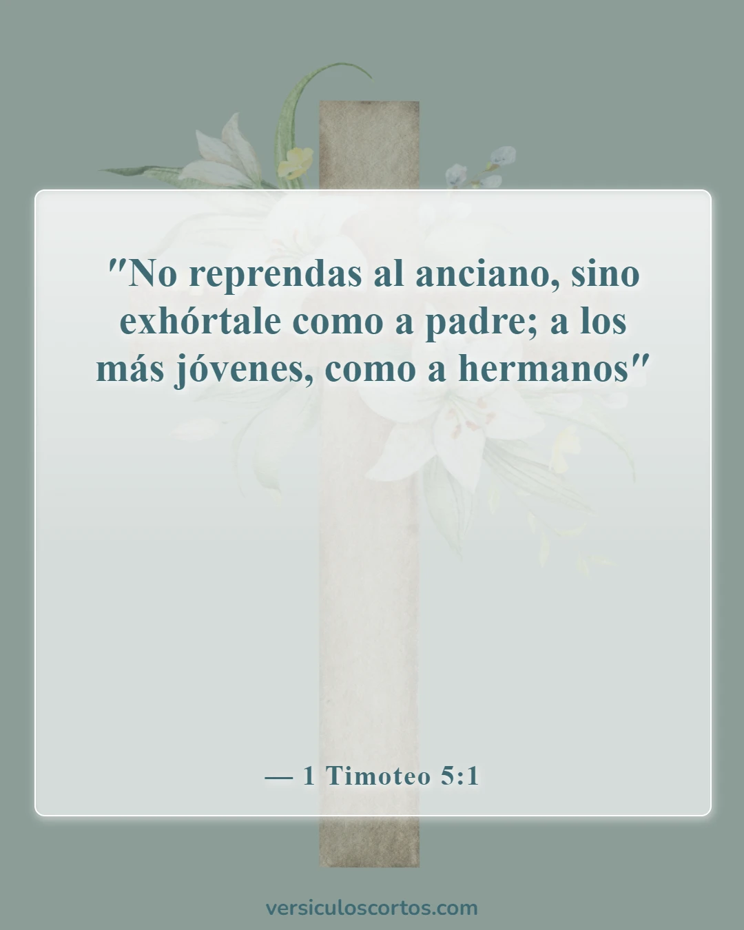 Versículos de la Biblia sobre respetar a tus mayores (1 Timoteo 5:1)