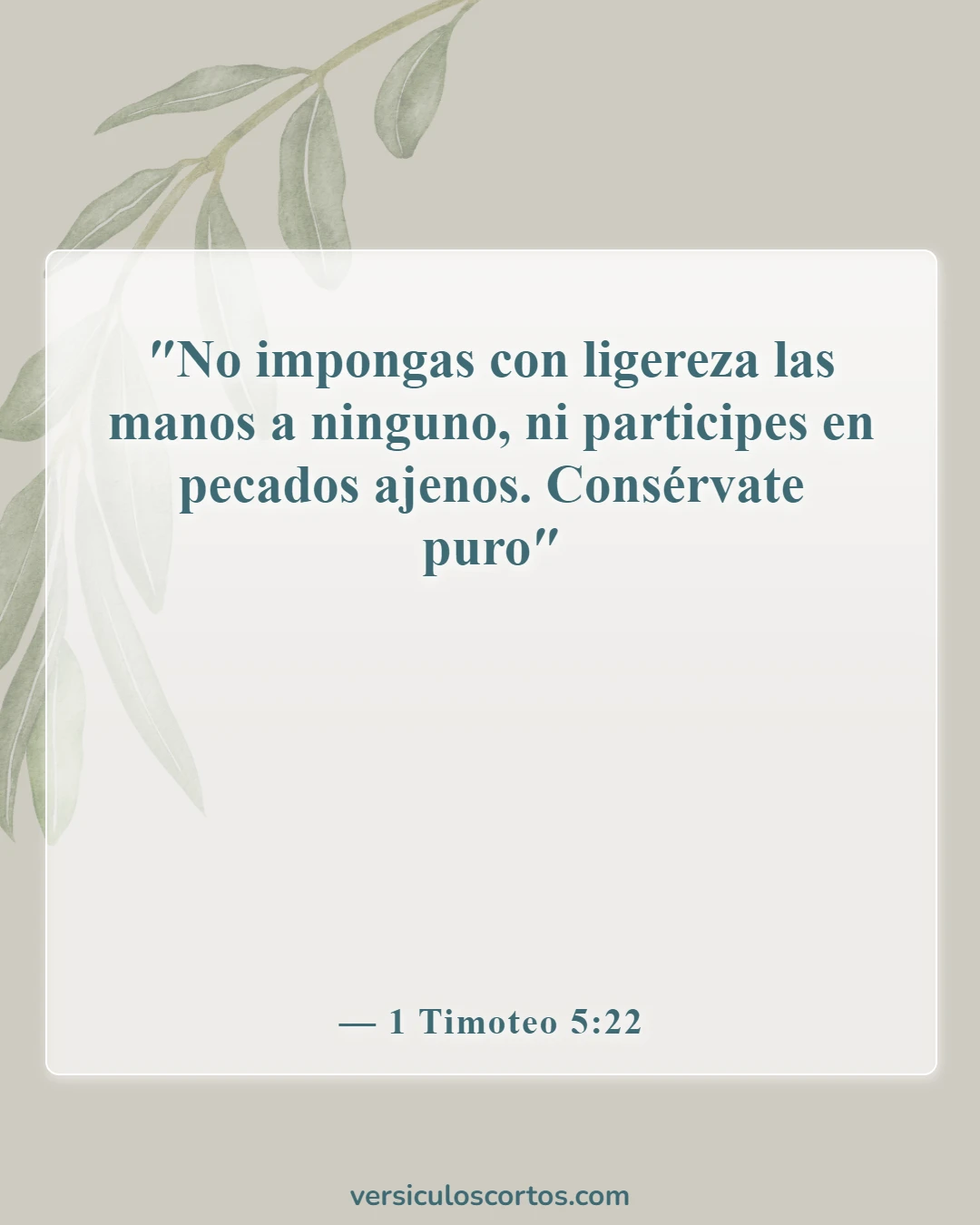 Versículos de la Biblia sobre salir con un no creyente (1 Timoteo 5:22)