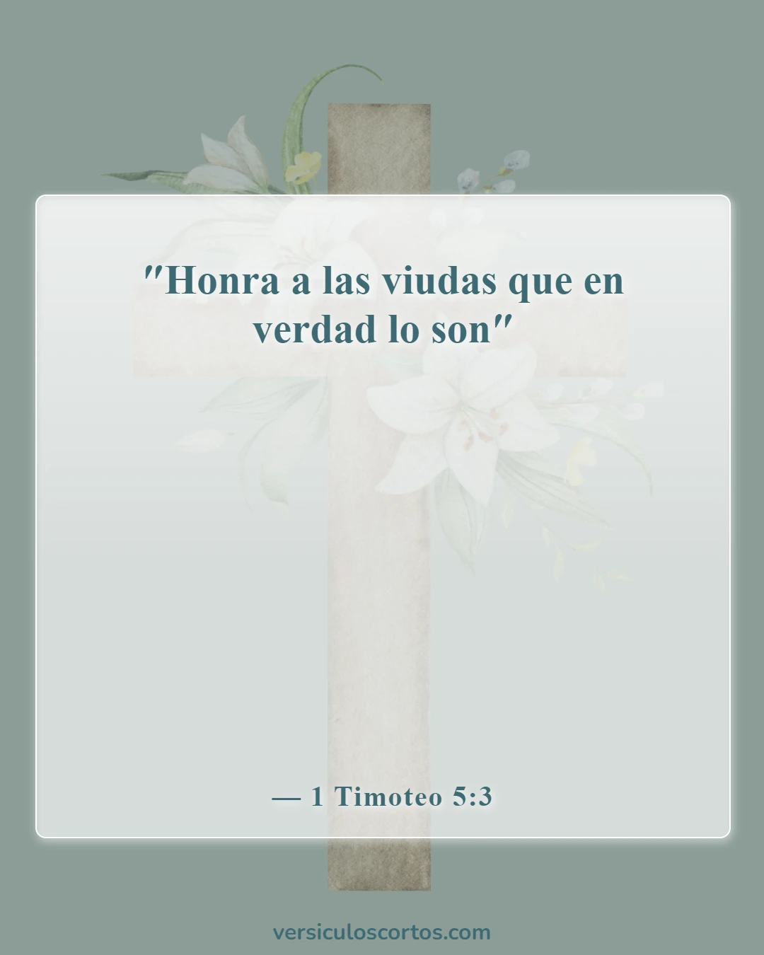 Versículos de la Biblia sobre las viudas (1 Timoteo 5:3)