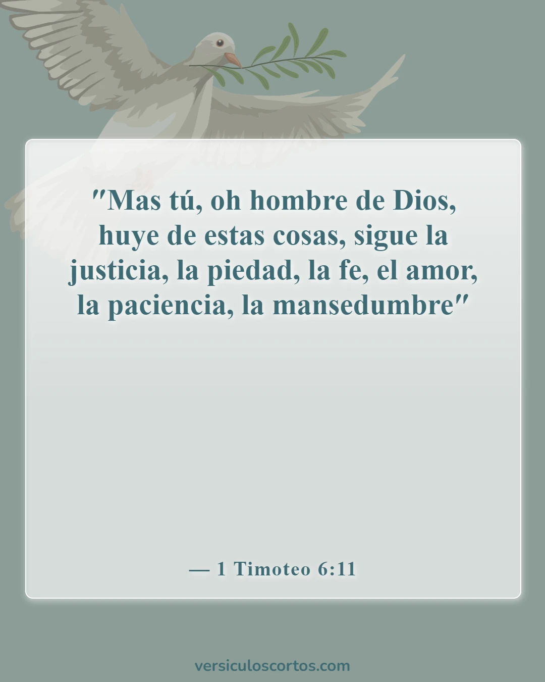 Versículos de la Biblia sobre salir con un no creyente (1 Timoteo 6:11)