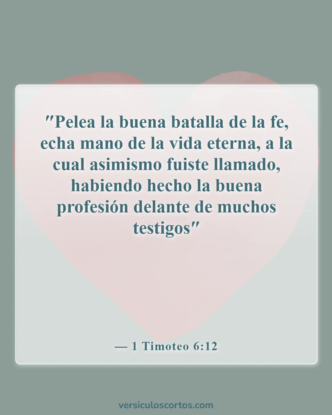 Versículos de la Biblia sobre salir con un no creyente (1 Timoteo 6:12)