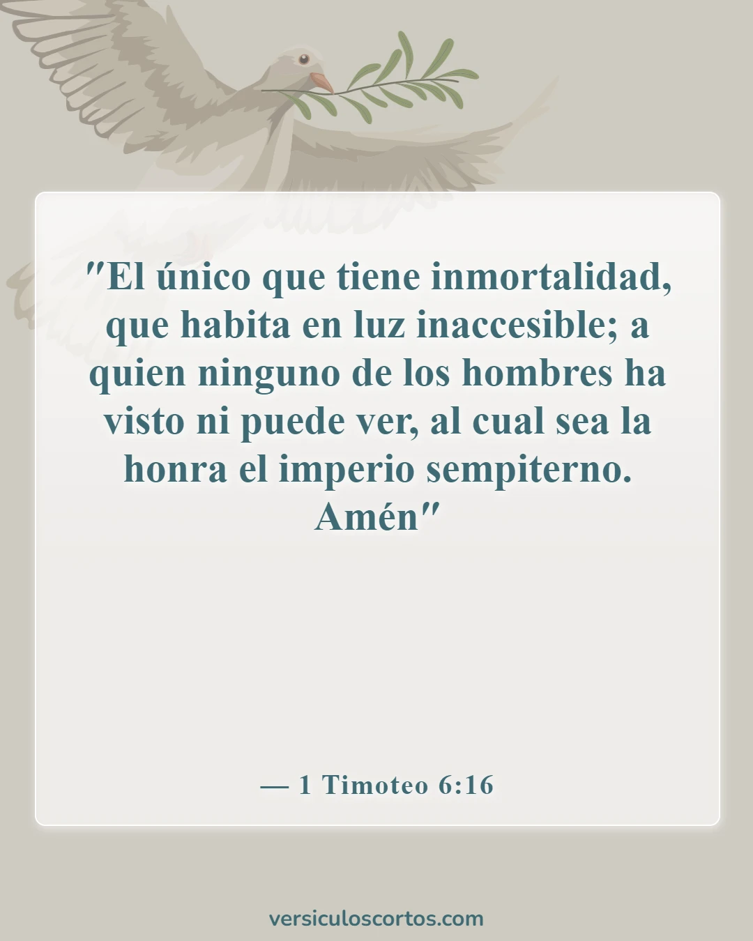 Versículos de la Biblia sobre adorar solo a Dios (1 Timoteo 6:16)