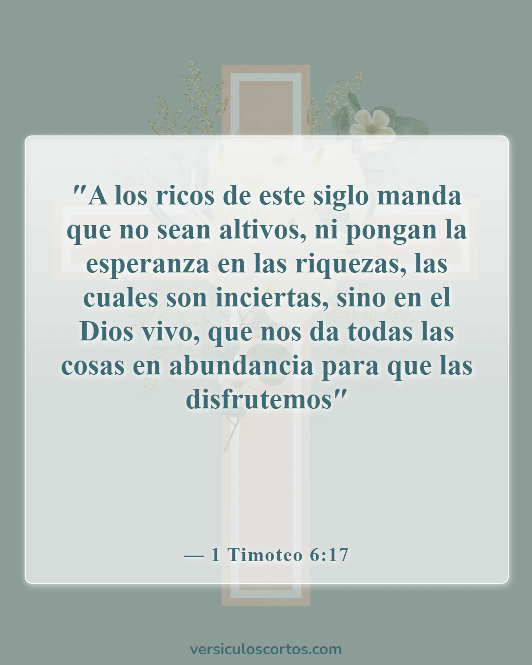 Versículos de la Biblia sobre la Apreciación de la Vida (1 Timoteo 6:17)