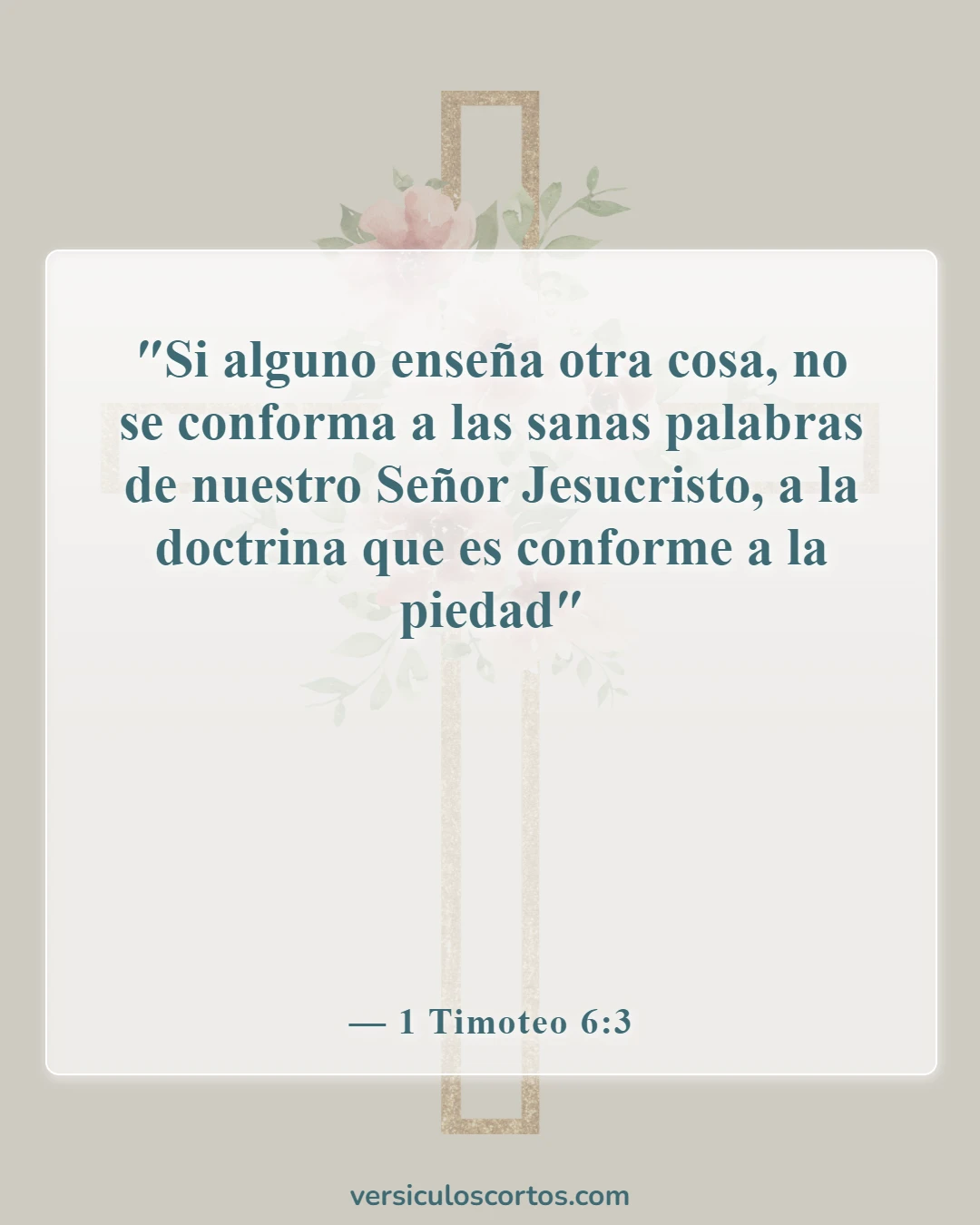 Versículos de la Biblia sobre seguir al hombre (1 Timoteo 6:3)