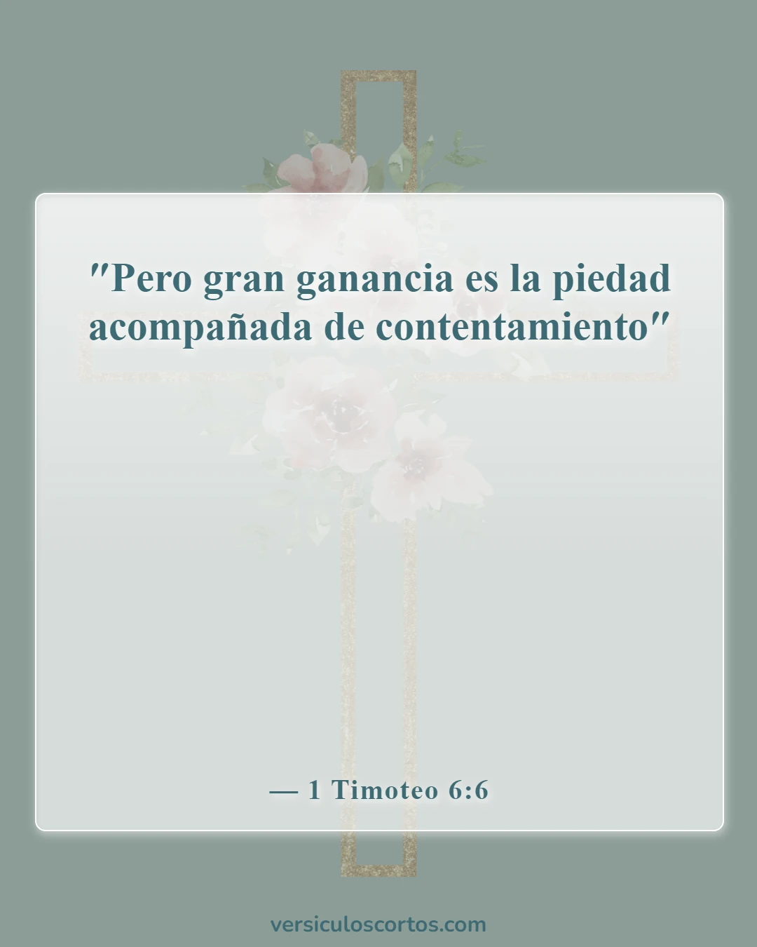 Versículos de la Biblia sobre el equilibrio en la vida (1 Timoteo 6:6)